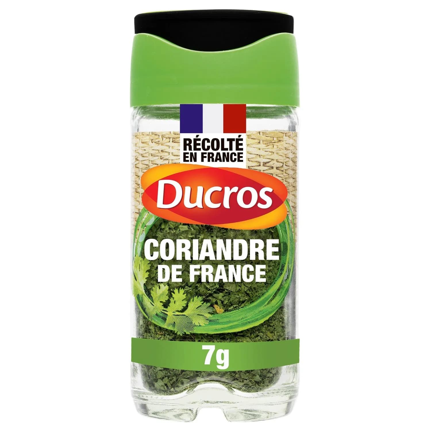Coriandre feuilles DUCROS