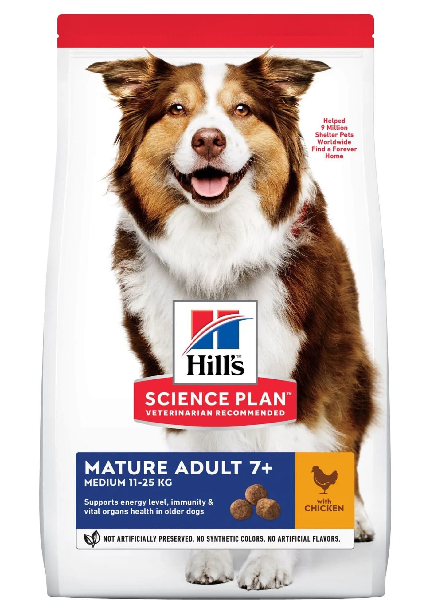 Friandises Pâte Stuff'N Beurre D'Arachide pour Chiens 170g