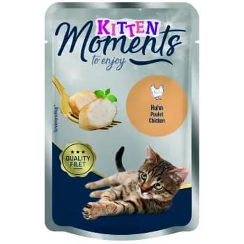 Moments Kitten