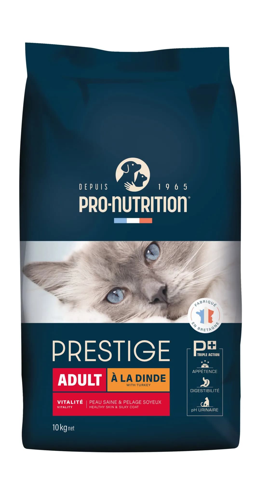 Poissons pour Chaton