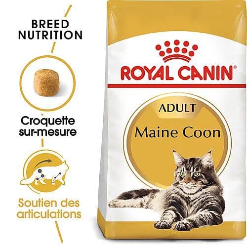 Poulet pour Chat Difficile