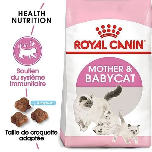 Poulet pour Chat Difficile