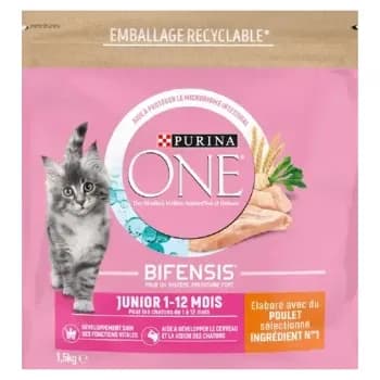 Purina ONE Croquettes Junior pour Chaton de 1 à 12 mois au Poulet