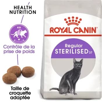 ROYAL CANIN Stérilisé 37 Croquettes Chat