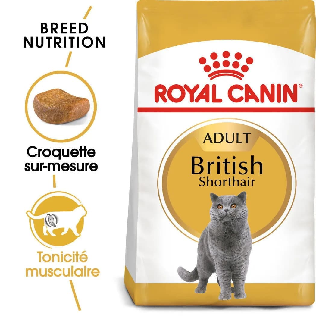 Soin Digestif pour Chat